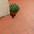 Splendour Aragon 150x150 Red Quarry R.E Tiles - Unbeatable Bathrooms