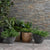 Splendour Ledgestone 300x150 Split Face Tiles - Unbeatable Bathrooms