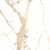 Splendour Makrana 600x600 Polished Marble Effect Tiles - Unbeatable Bathrooms