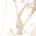Splendour Makrana 600x600 Polished Marble Effect Tiles - Unbeatable Bathrooms