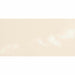 Splendour Monocolour 200x100 Gloss Metro Tiles - Unbeatable Bathrooms
